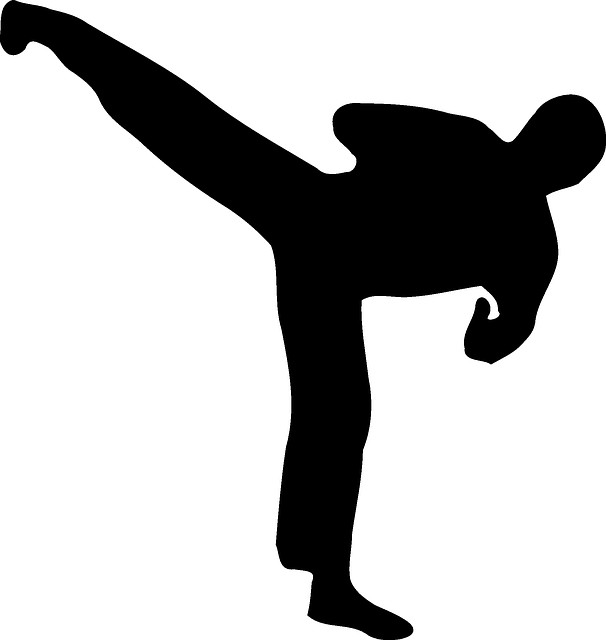image_Coaching Karaté/Kick Boxing/remise en forme