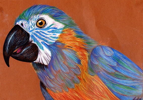image_Cours de dessins