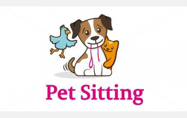 image_Chien/chat/Nac