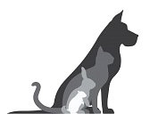 image_Garde .Visite d'animaux