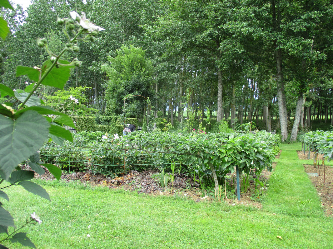 image_Maçonnerie, plaquerie, peinture.