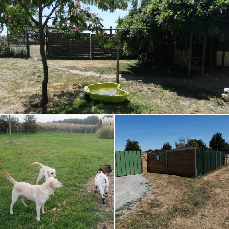 image_Pensez aux vacances de vos compagnons !!!