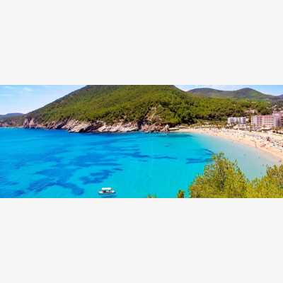 image_Cherche artisan polyvalent prêt à s'envoler pour Ibiza