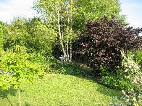 image_entretien jardin