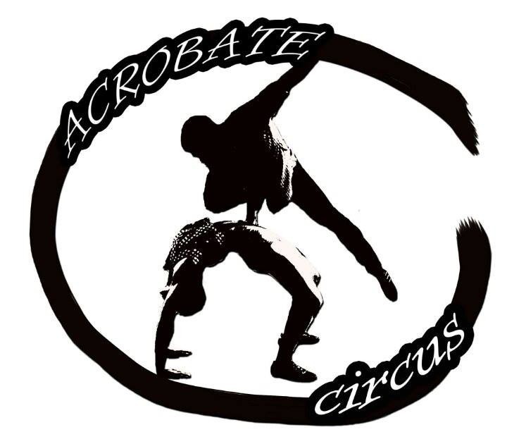 image_Stage d'acrobatie du 11 au 15 avril 2016