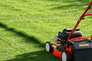 image_tontes de pelouses,jardinage,bricolage etc...