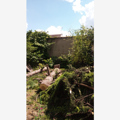 image_Elagage/abattage