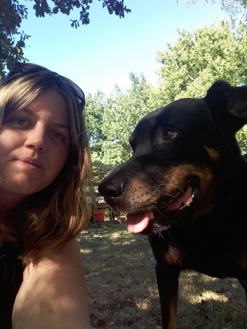 image_pet sitter