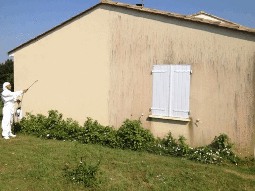 image_Nettoyage de murs extérieurs