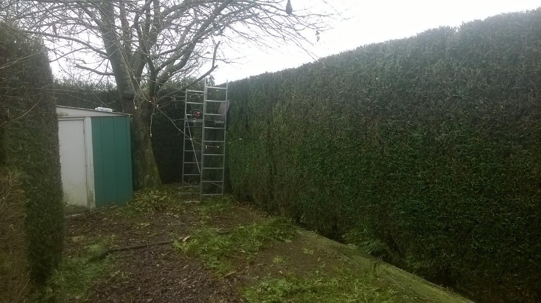 image_jardinier paysagiste de Métier propose