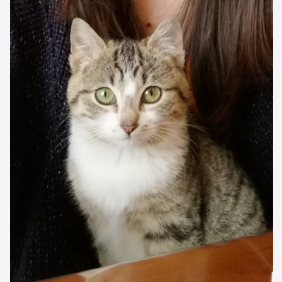 image_Je m'occupe de vos animaux !