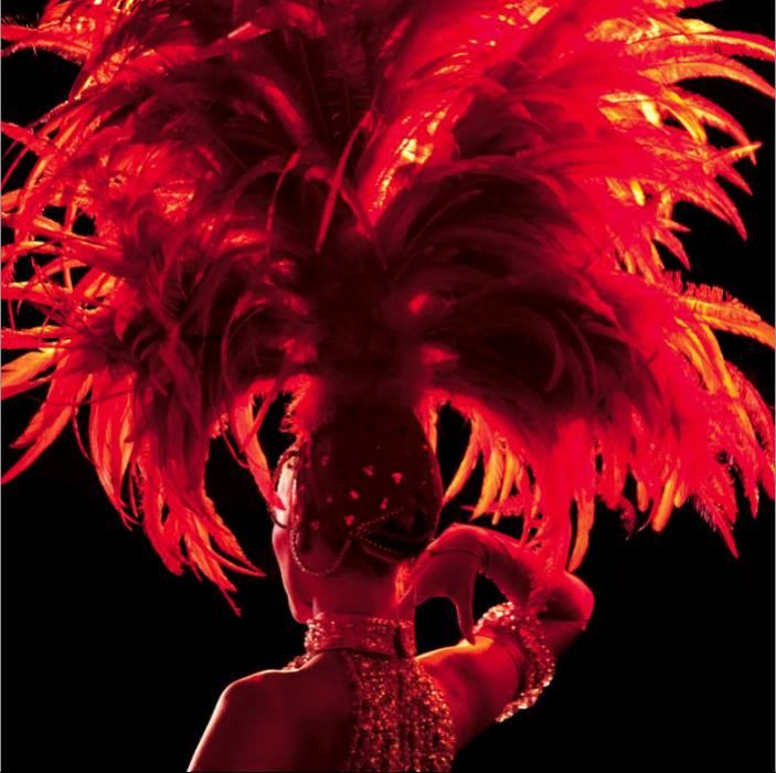 image_Spectacle,Travesti Show Transformiste, cabaret,