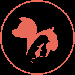 image_Garde animalière - Petsitter
