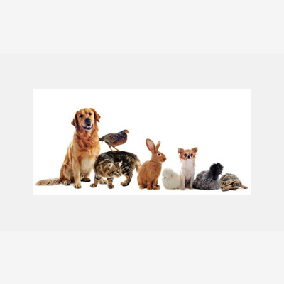 image_Gardes d'animaux toutes sortes :)
