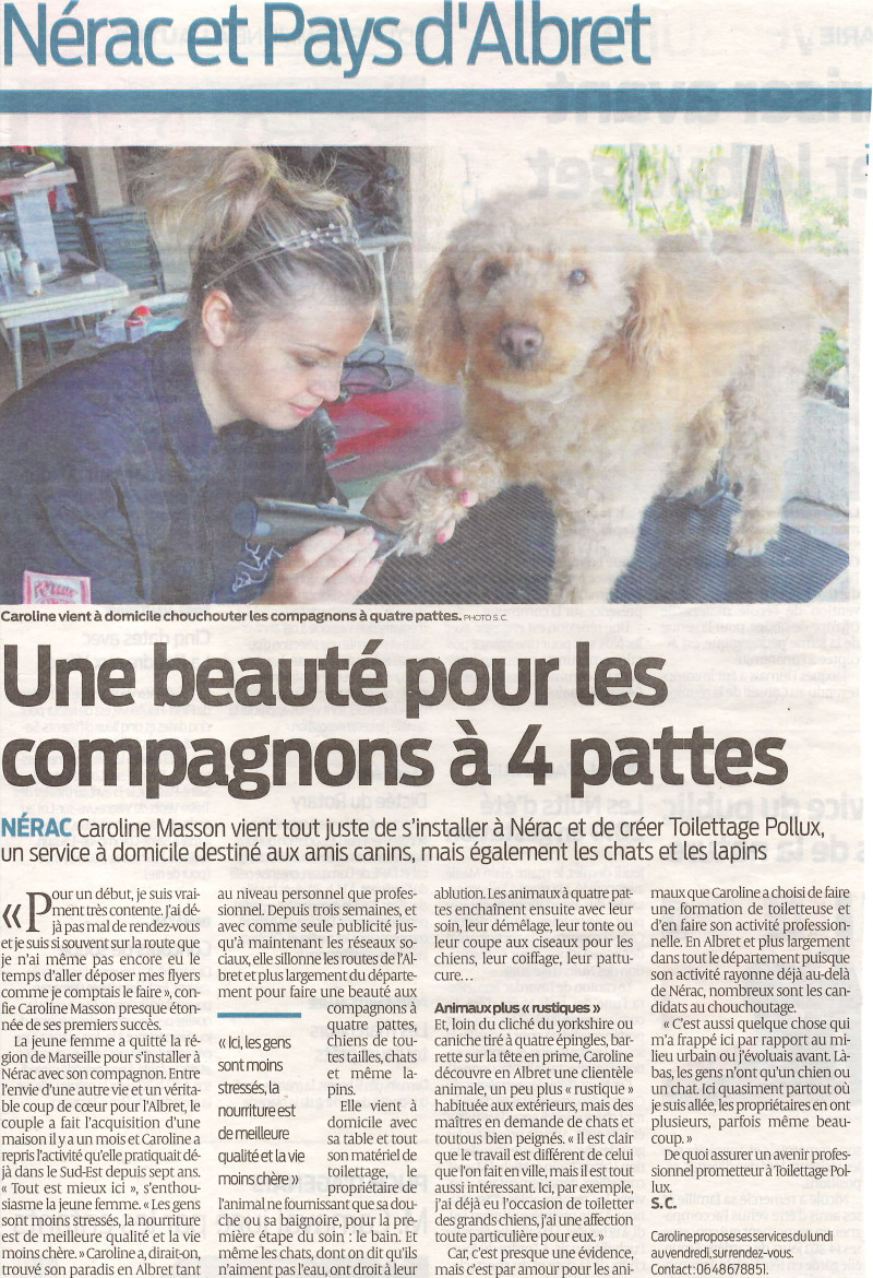 image_TOILETTAGE A VOTRE DOMICILE