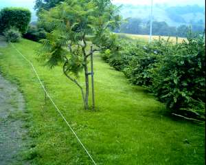image_jardinier paysagiste