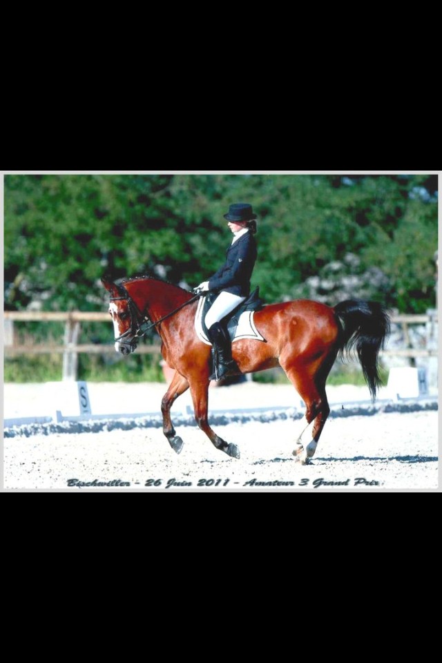 image_Coaching équitation