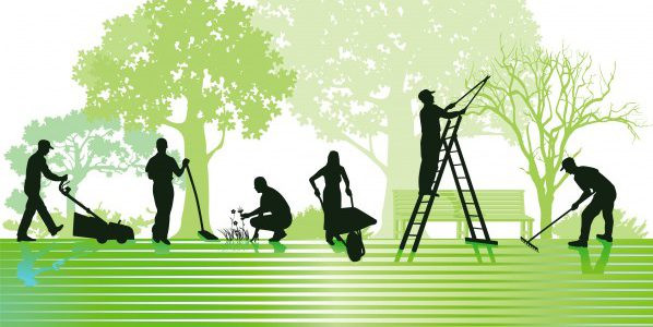 image_Entretien du jardin