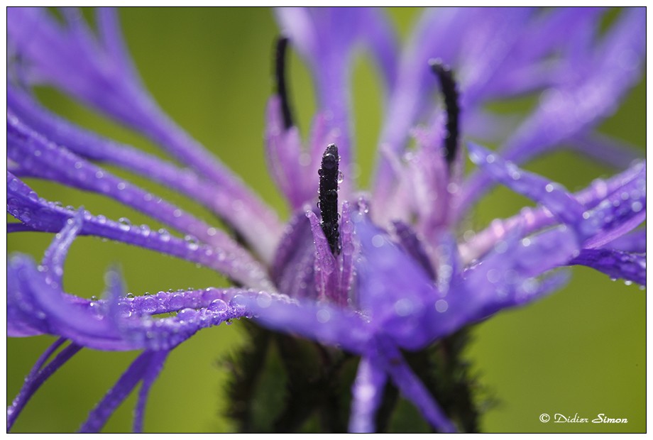 image_cours photos - Ateliers specifique