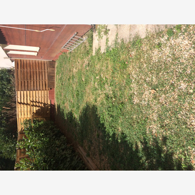 image_terrasse