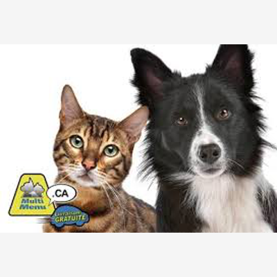 image_Garde chiens et chat