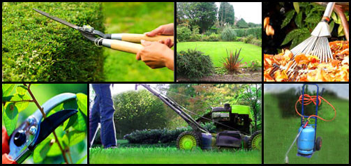 image_Entretien de jardin par cesu