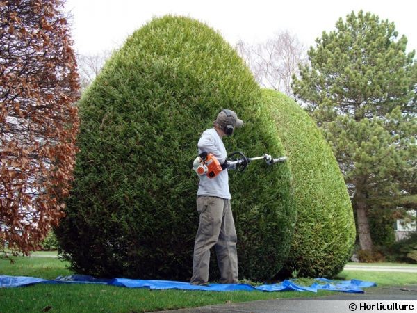 image_JARDINIER PRO A PETIT PRIX