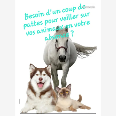 image_Pet sitting visites à domicile