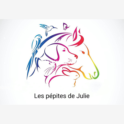 image_Les pépites de Julie