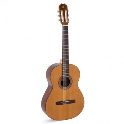 image_cours de guitare acoustique
