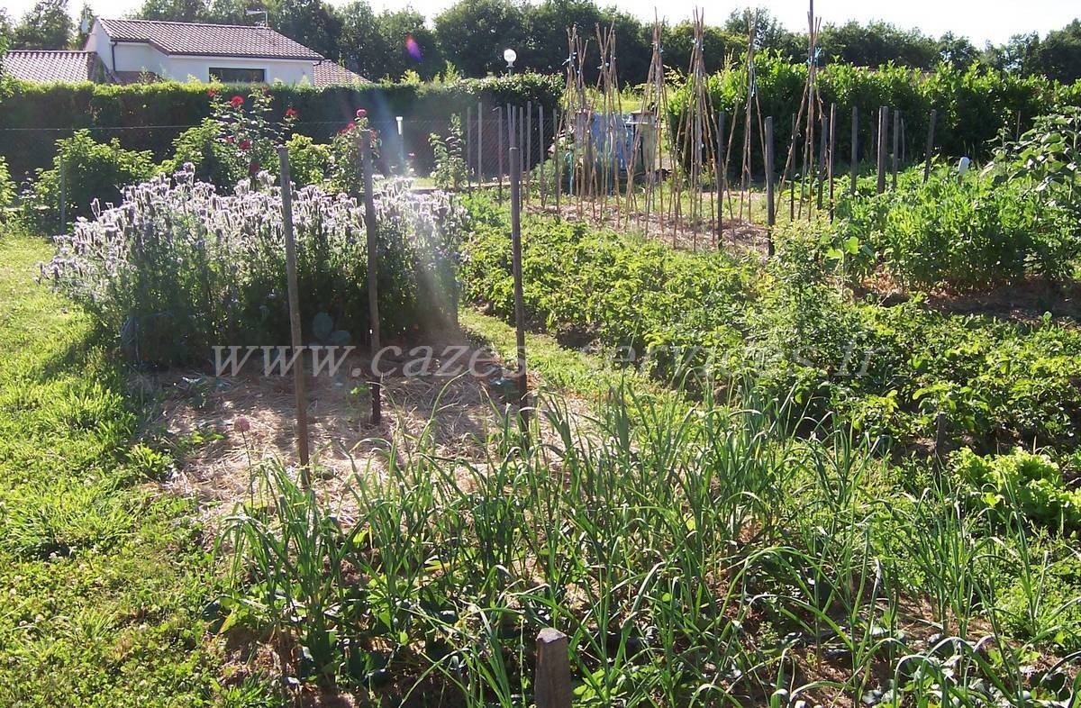 image_Entretien Espaces Verts - Permaculture