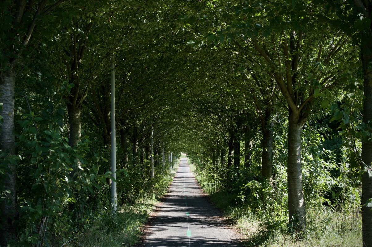 image_Cours d'Anglais - Méthode DP