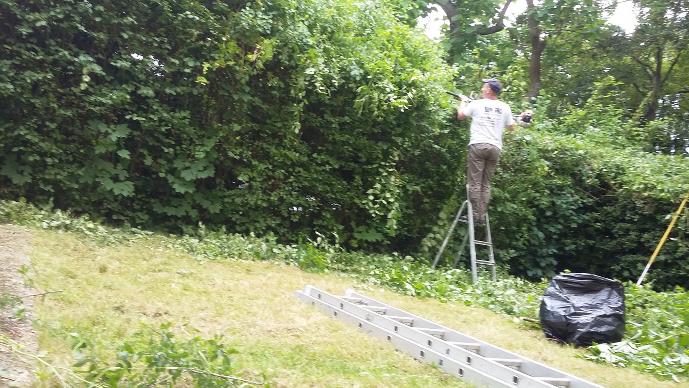 image_Jardinage