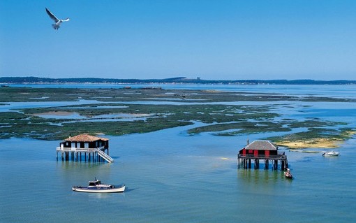 image_Coaching sportif sur le Bassin d'Arcachon