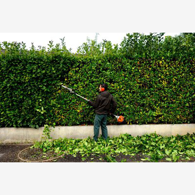 image_Jardinage et taille de haie