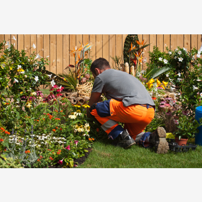 image_Jardinage et taille de haie