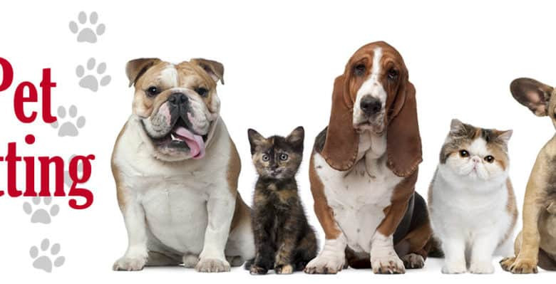 image_passionnés d'animaux à votre service
