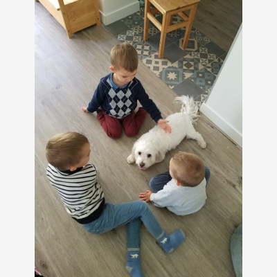 image_Famille qui peut prendre soin se vos petites bêtes 🤗