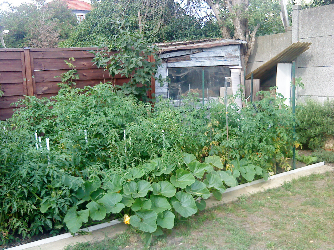 image_Jardinier amateur