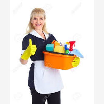 Offres d'emploi Femme de ménage en Alpes-Maritimes