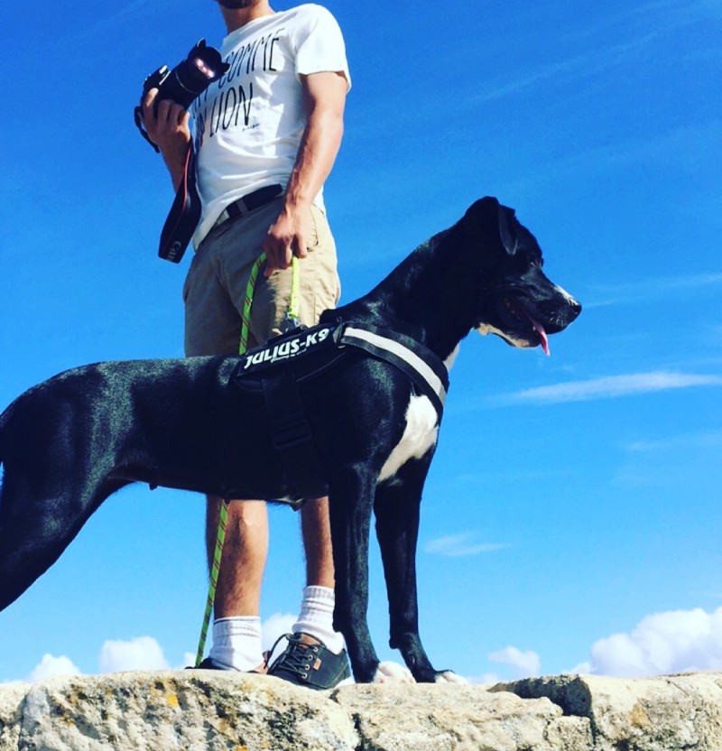 image_GARDE D'ANIMAUX