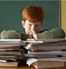 image_Soutien scolaire/aide aux devoirs
