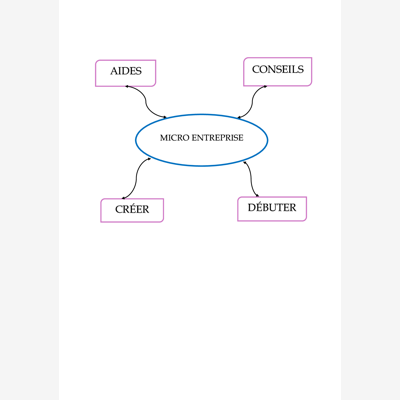 image_Aide/conseil micro entreprise