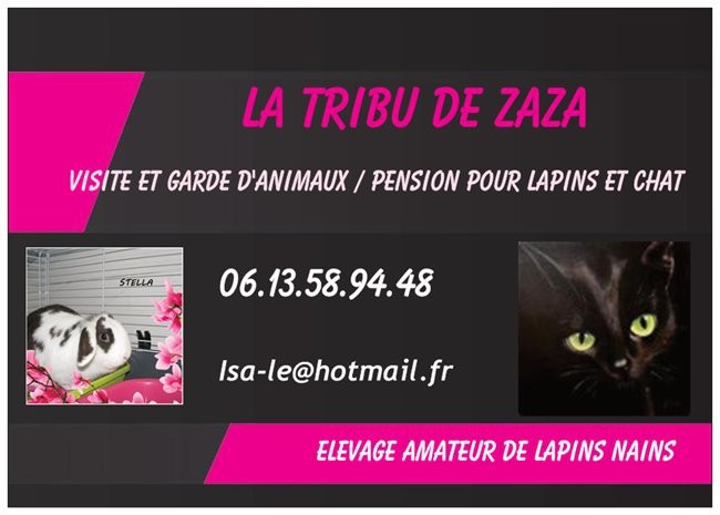image_Garde d'animaux