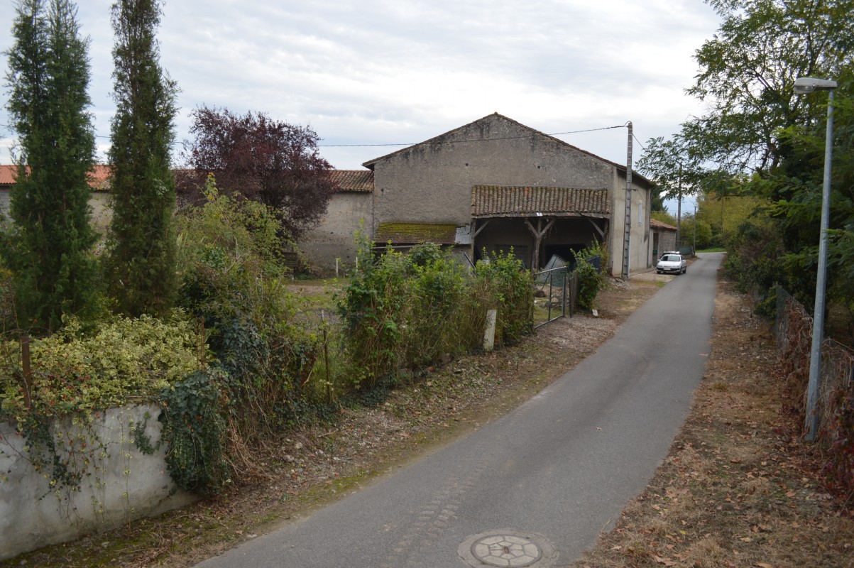 image_terrain à vendre