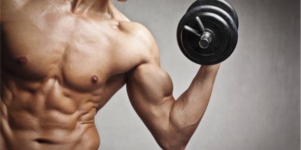 image_Programmes de musculation