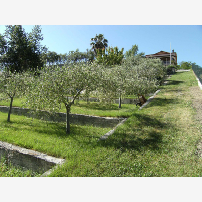image_Grande villa et terrain pour accueillir votre animal