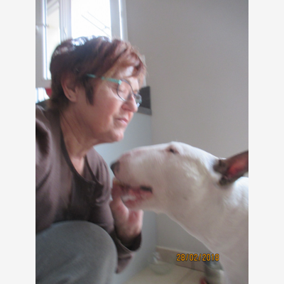 image_garderie pour moyens ou petits chiens