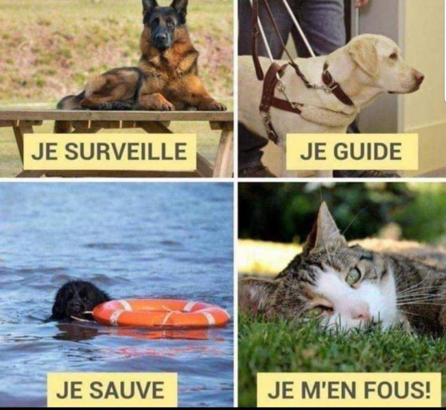 image_GARDE, GROS CALINS