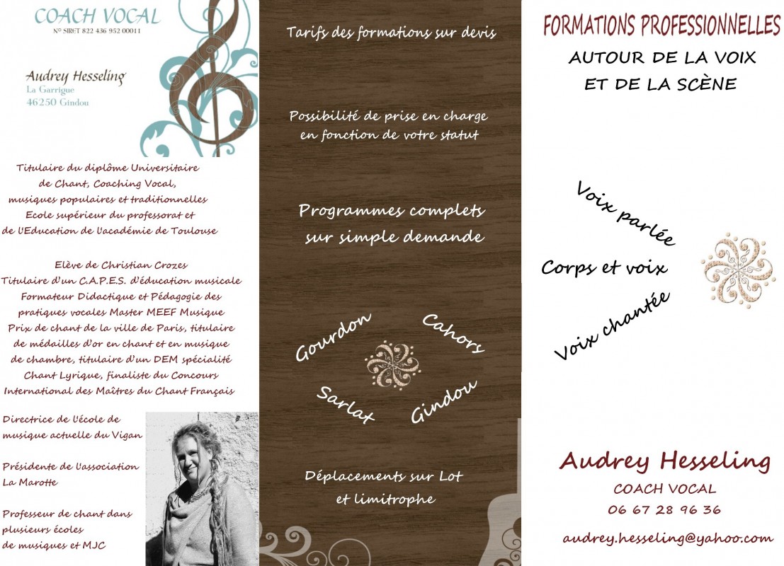 image_Formation autour de la voix !